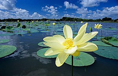 《全面战争：战锤3》DLC超凡帝国将于8月23日上线