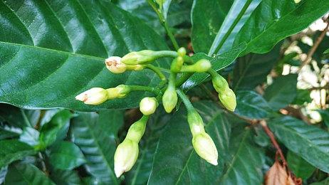 玩家自制《质量效应：传奇版》第一人称视角MOD